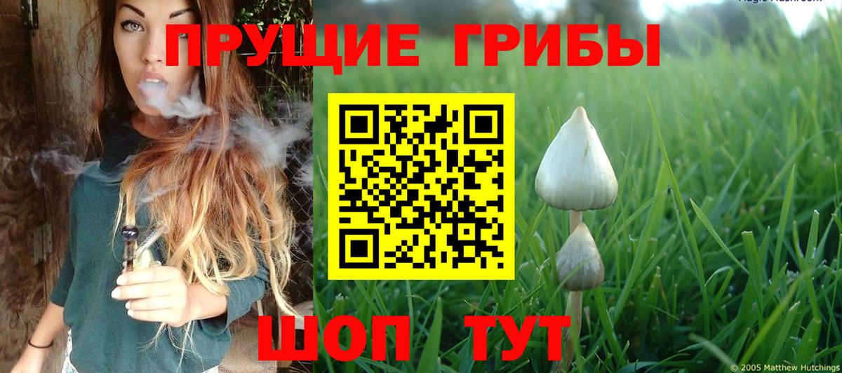 Псилоцибиновые грибы мицелий Ржев