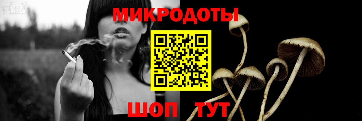 Ржев  Галлюциногенные грибы Magic Shrooms  Вход с VPN 